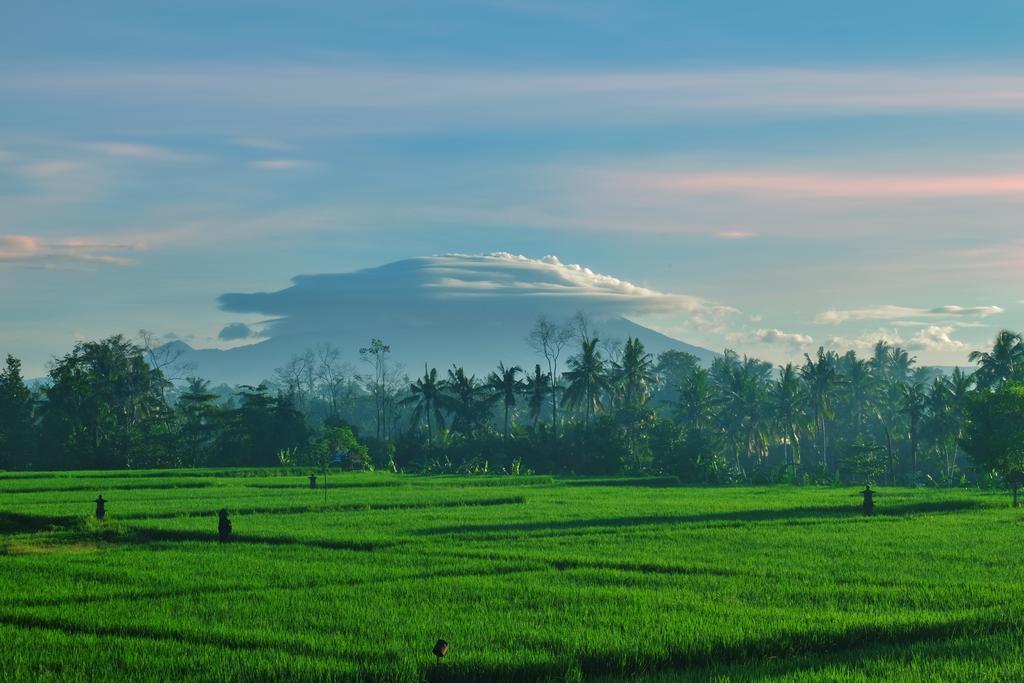 Putra Guest House Ubud  Luaran gambar
